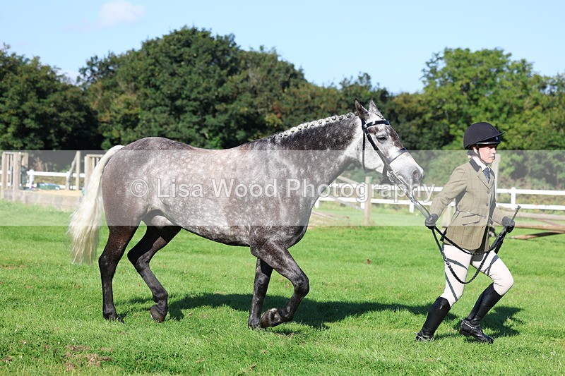 3E7A7667 - Class 1: Novice Working Hunter Pony