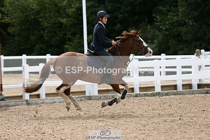 230716A-143634-03938 - Class 25a Pony Fox & 1.10 Open