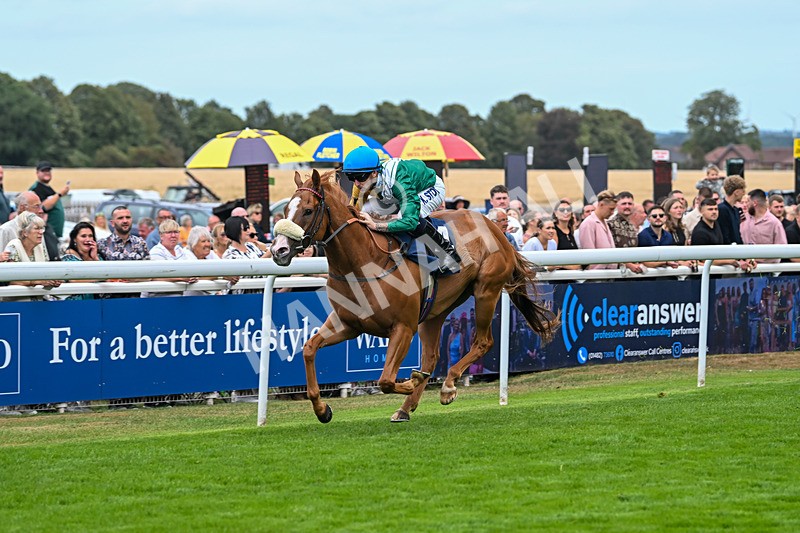 300825-Race 2-Shagraan-0685 - Race 2