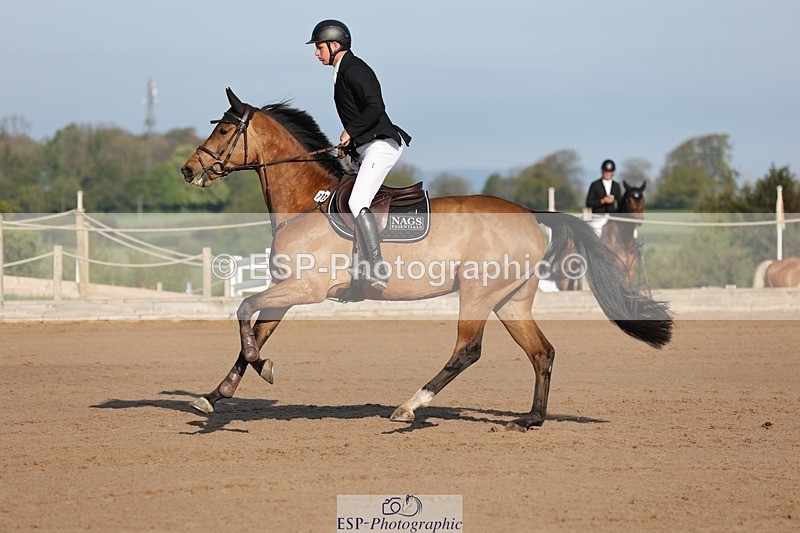 250427-083714-14562 - Cls 28 Young Horse 5yr old