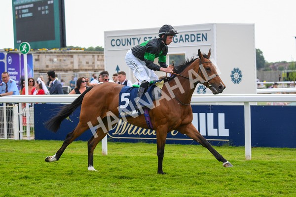 270523-Race 4-River of Stars-0546 - Race 4 3.15pm William Hill Bronte Cup Fillies' Stakes