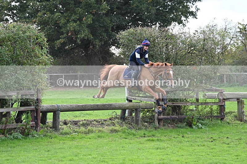 WJ7_9595 - Time 13:13 to 13:55