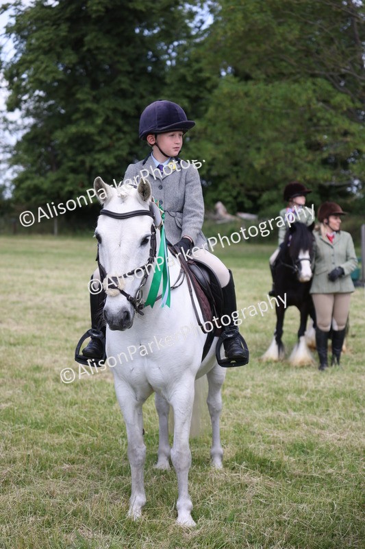 20260614-0825 - Class 20 - Beginners Working Hunter Pony