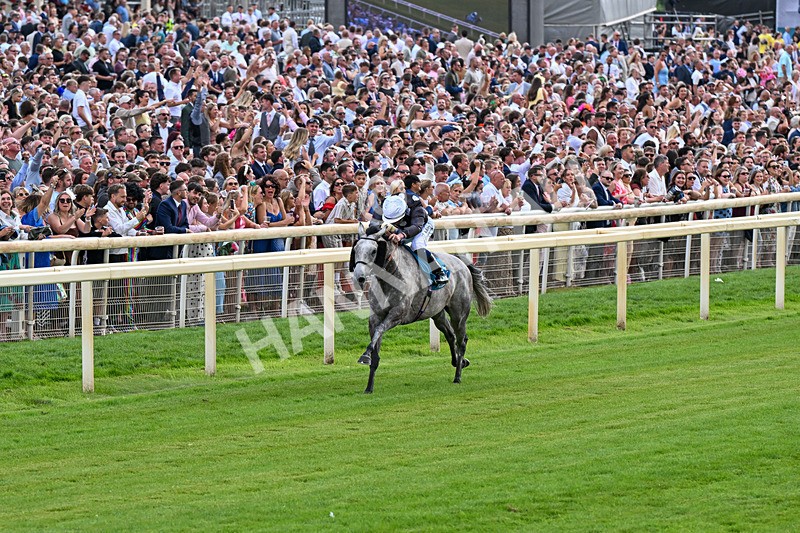 250726-Race 6-Likealot-1180 - Race 6 16.17pm Sky Bet Build A Bet Handicap