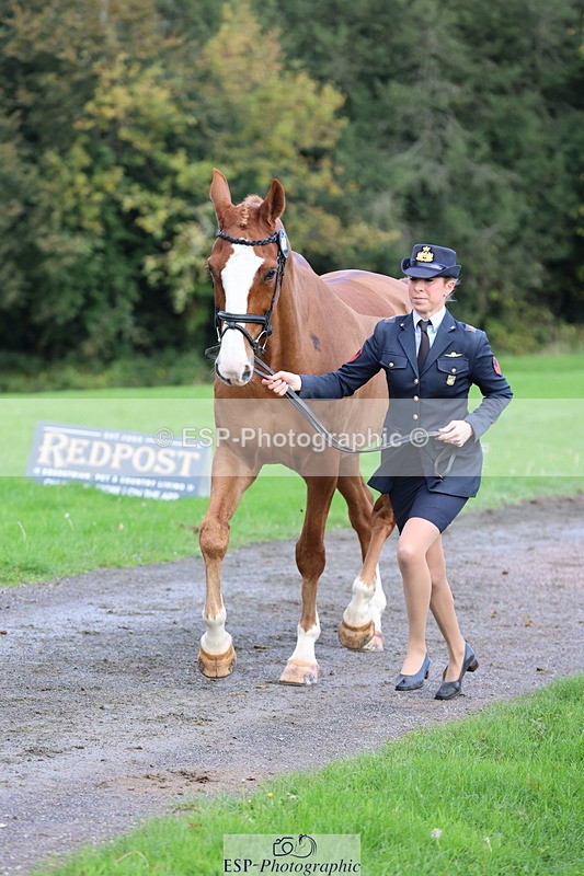 251026A-103306-23092 - E-387-Vittoria.Panizzon