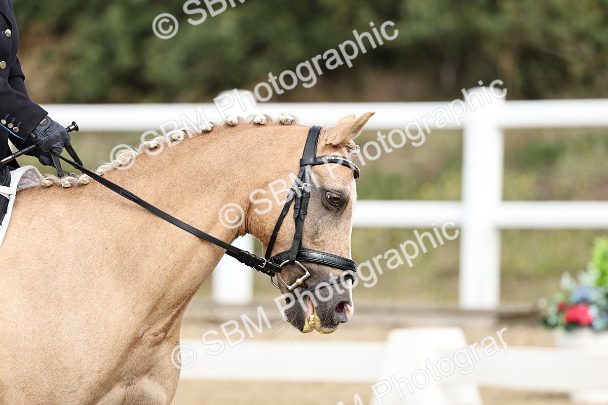 SBM_018198 - Class 16 - Novice 5 - 11.12-12.01