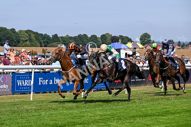140726-Race 2-What A Tahoo-9769 - Race 2 14.47pm Young Guns Handicap