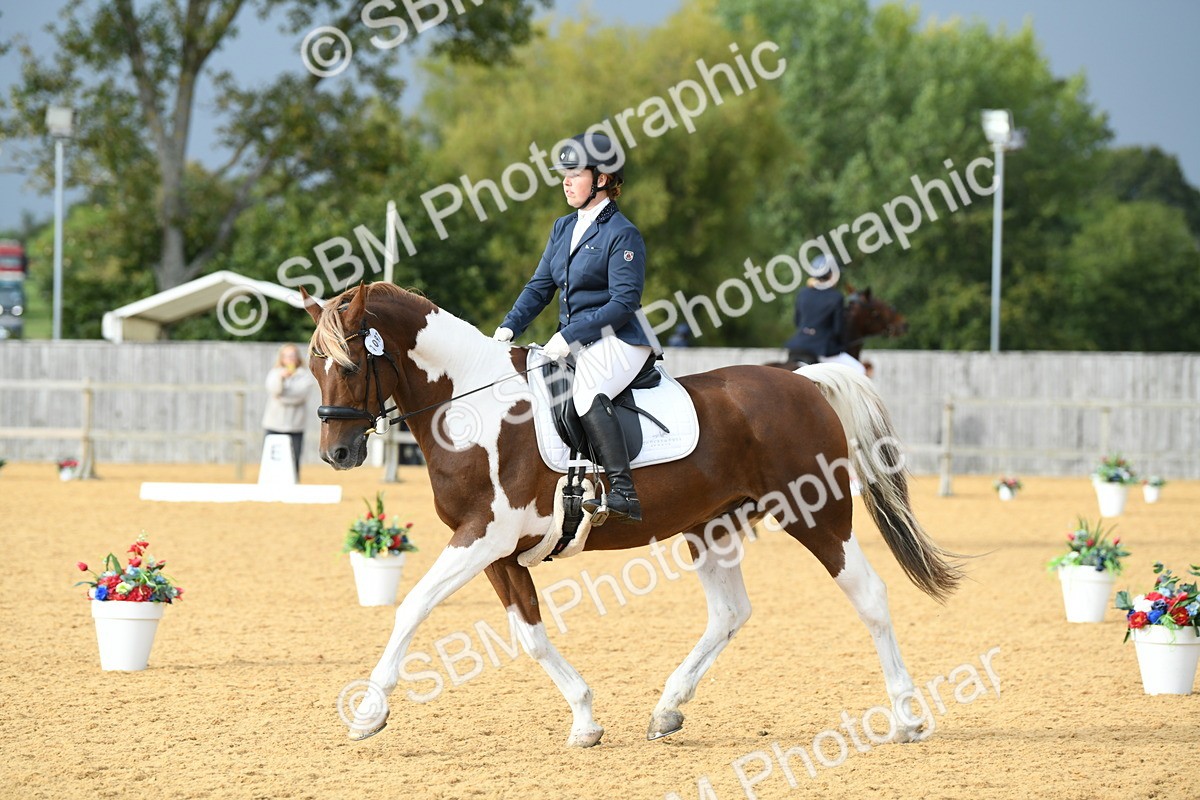 SBM_11044 - D28 Elementary Taster Elementary 42