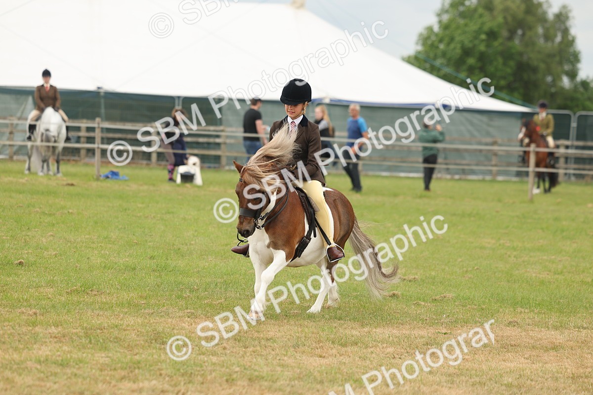 SBM_08895 - Class 78-80 - Ridden M&M Non Welsh Ponies