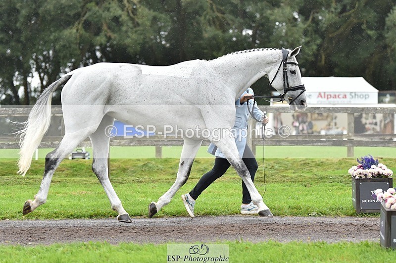 231018-123100-00348 - 042-WKD.COOLEY-Chiara.Grimaldi-TrotUp