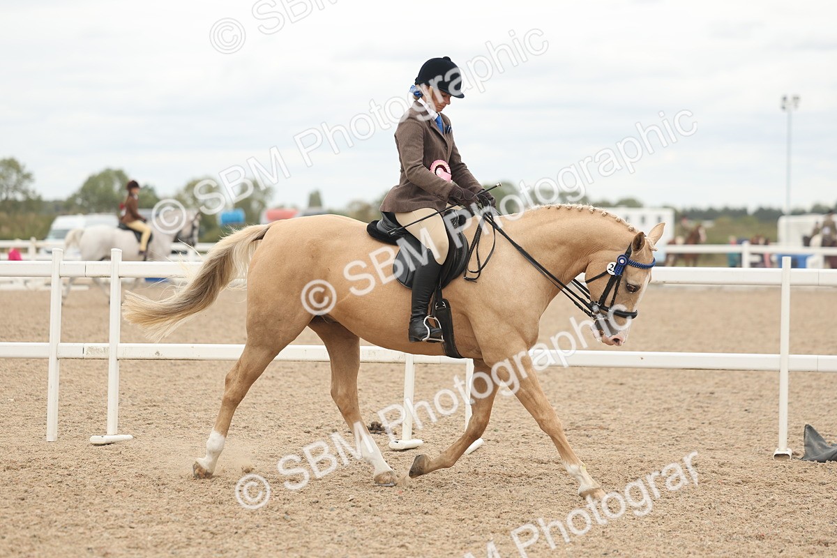 SBM_18245 - Class 315 - Best Horse-Rider Combination