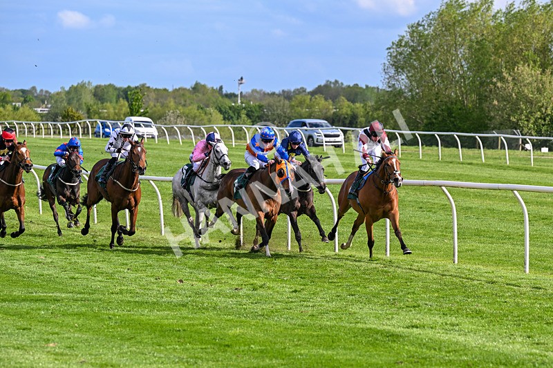 110526-Race 6-Betties Bay-1223 - Race 6 5.00pm Racing Again 21st May Fillies' Handicap