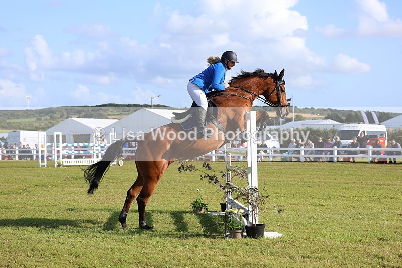 3E7A4381 - Class C: Showjumping Senior Foxhunter