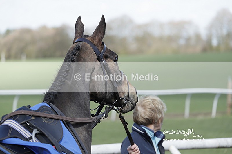 PtP 100423 672 - Old Berkshire Point-to-Point Lockinge 10/04/23