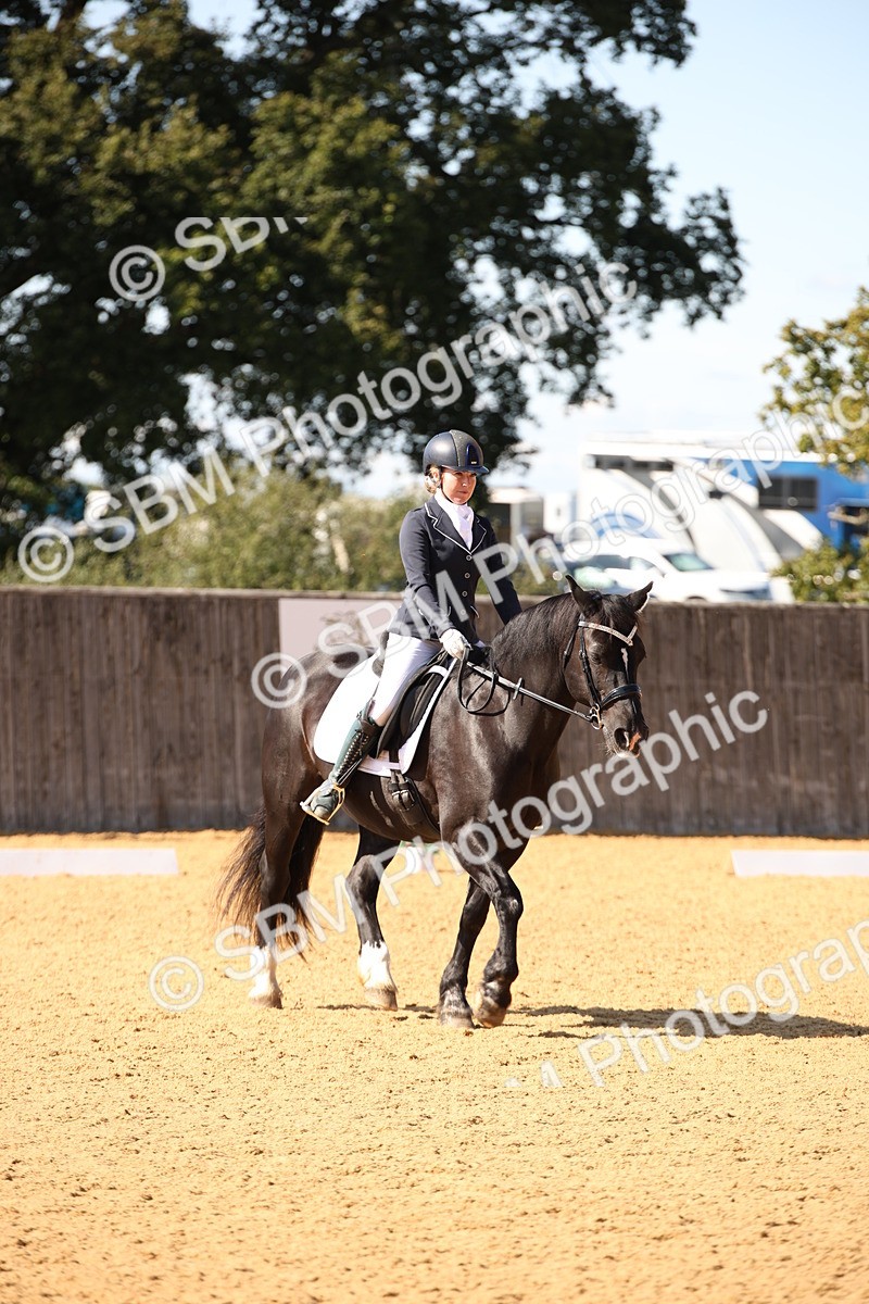 SBM_24211 - D5 - Small Tour Championship - Intro C