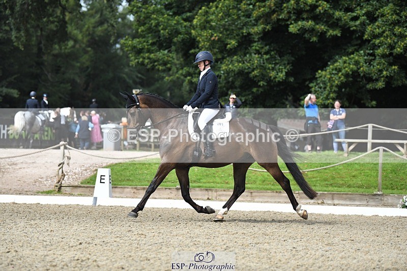 230812-104406-03454 - Cls 6 Novice Silver 10.30 to 11.55 break