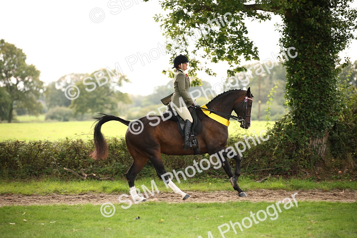 SBM_73641 - Ridden Horse Supreme Championship