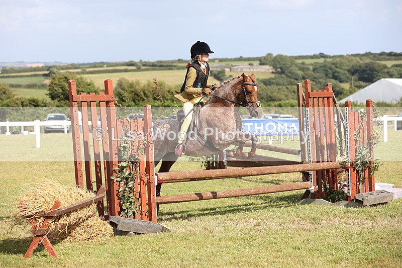 JPP_2831 - Class 20: Working Hunter 70cm