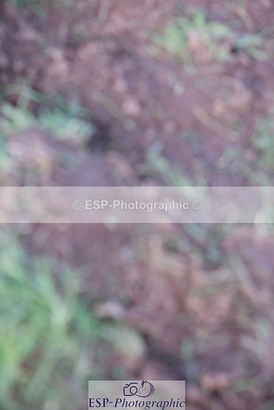 231022-164212-30579 - BE90 Presentations