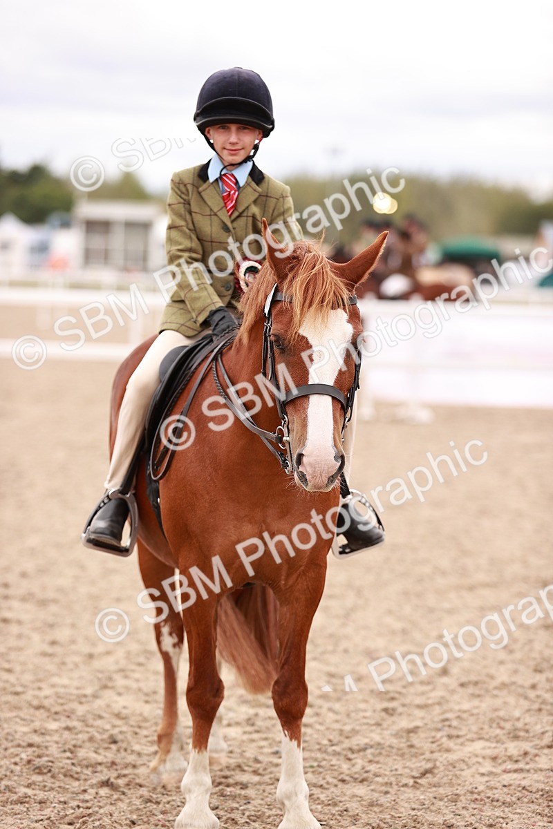 SBM_18623 - Class 421 - Childs Best Friend - Jnr