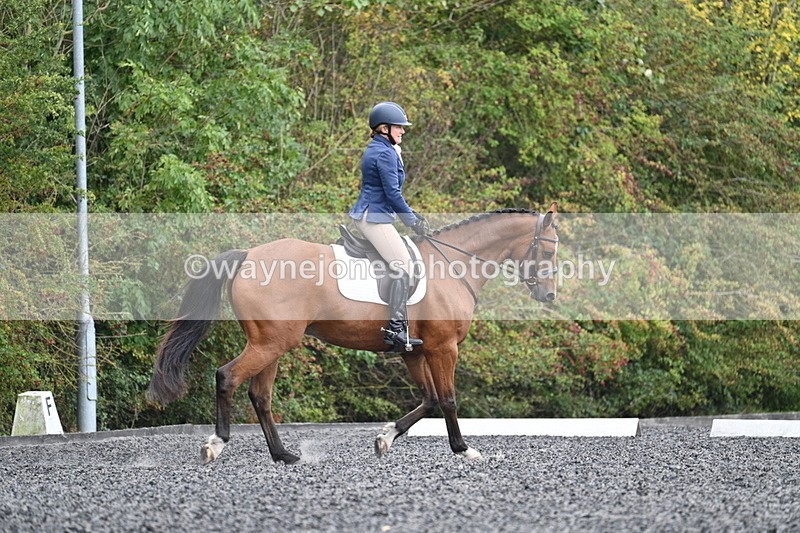 WJ7_4315 - Time 11:43 to 12:09