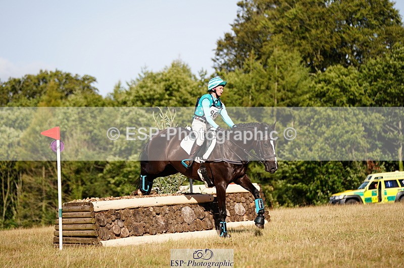 250803A-175948-18865 - S-869-Alice.Lamming-THE.DARK.HORSE.I