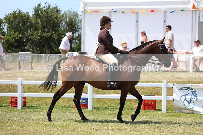 3E7A9274 - Class 12: Open Racehorse to Show Horse