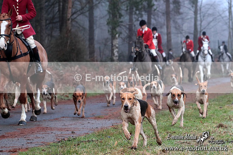 HUPY 261224 339ajpg - Pytchley with Woodland Hunt Boxing Day Meet 26th December 2024