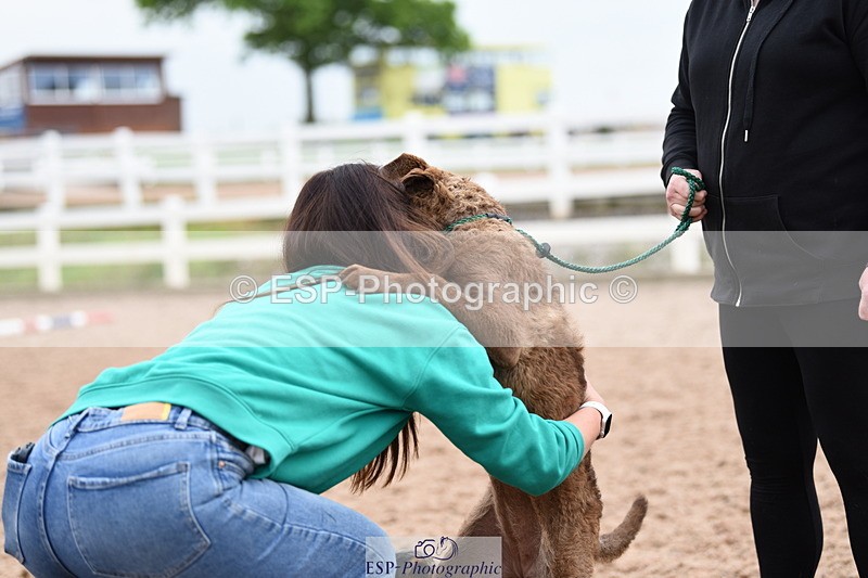 240518A-112238-00770 - Cls 1 Cutest Puppy