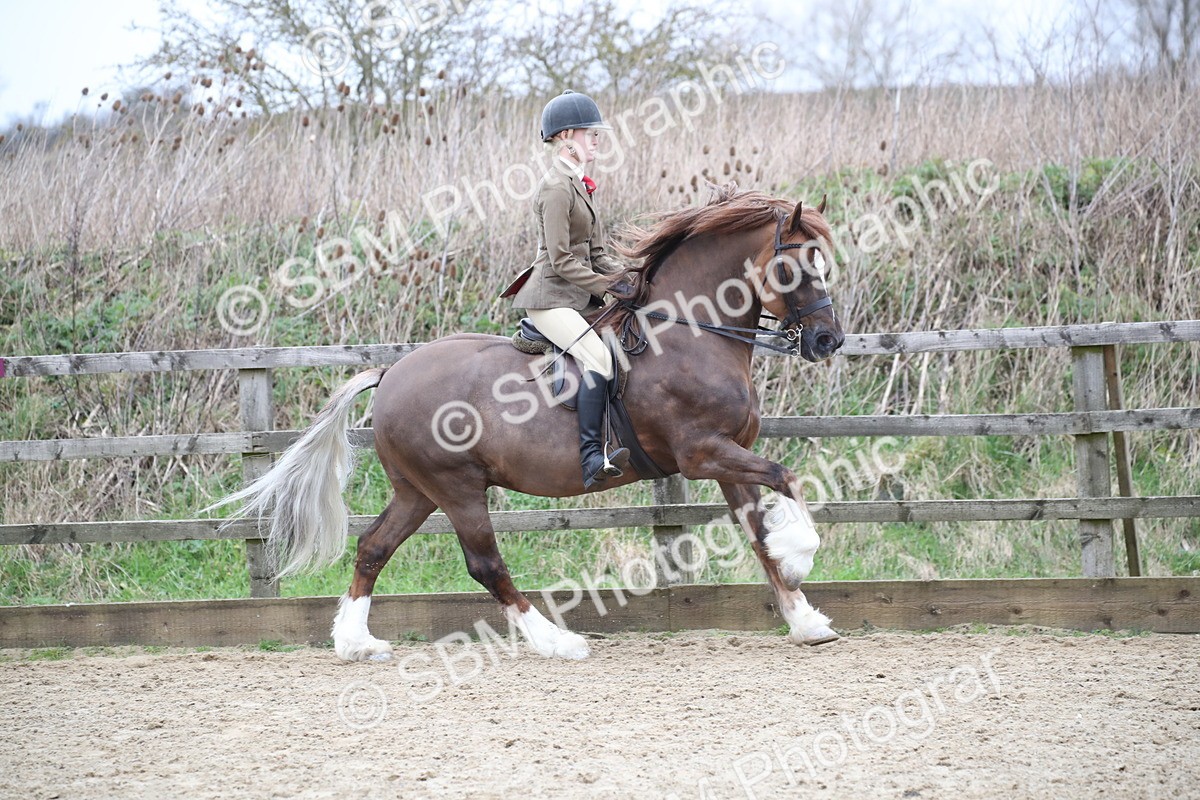 SBM_006333 - Class 10-13 - RIHS Small Large Breeds