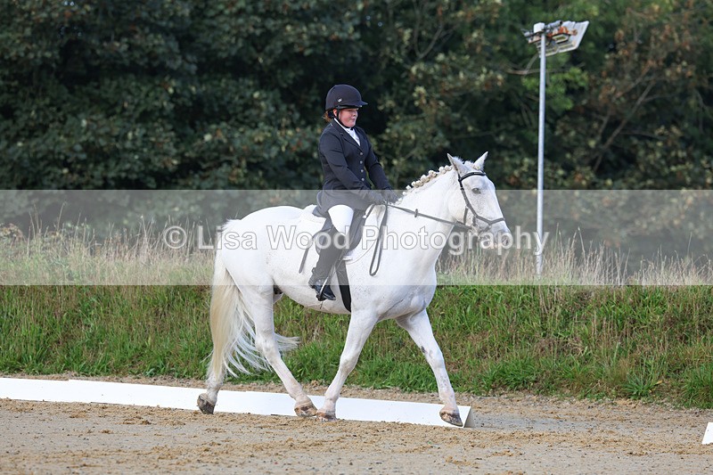 3E7A2446 - Class 1: Intro 4 2024 section A