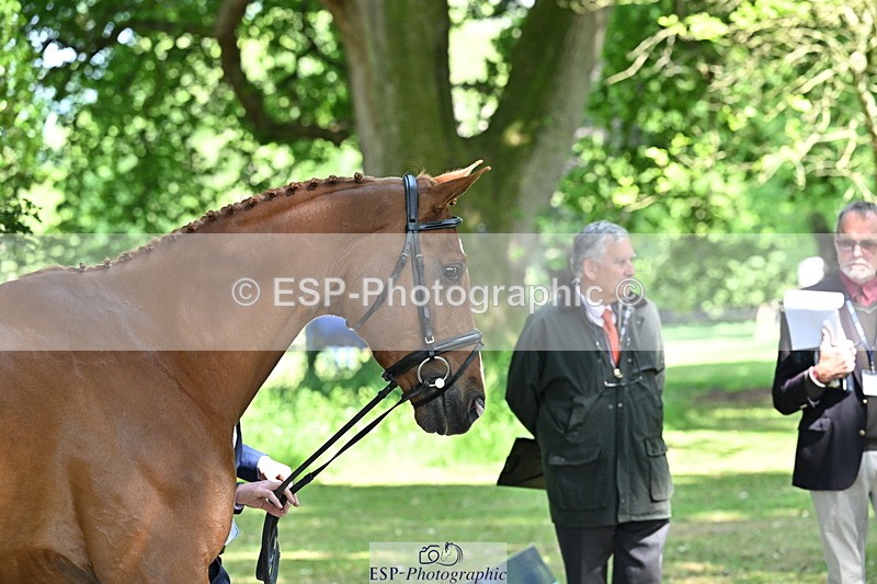 250521A-154235-00708 - B-354-Oliver.Thompson-LAGANS.RICE.STAR