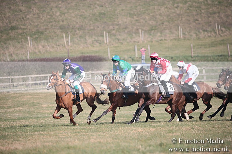 PtP 230219 208 - Vine & Craven Point-To-Point - Barbury 23/02/19