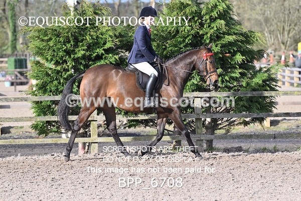BPP_6708 - RING 1  (RIDDEN HORSES / IN HAND / VETERAN ETC)