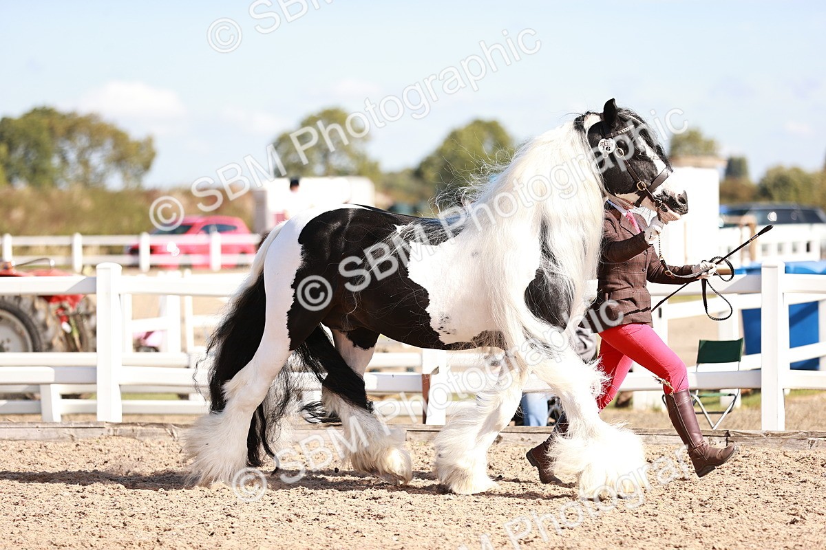 SBM_12574 - Class 404 - IH Traditional - Native Cob