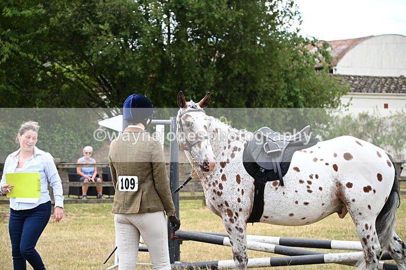WJ6_3843 - Class 9 Tack & Turnout