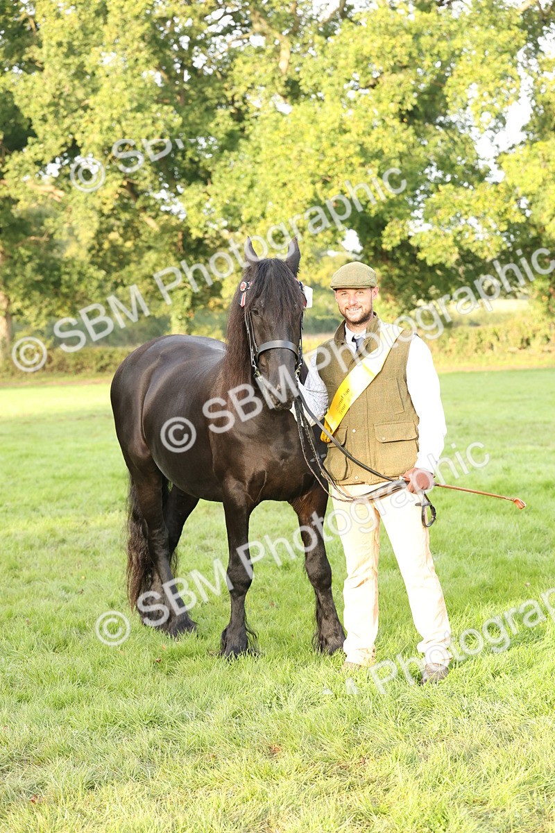 SBM_54454 - S51 - Foreign Breeds In Hand