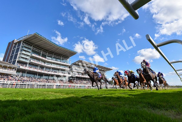 240824-Race 5-Elmonjed-4610 - Race 5 4.10pm Sky Bet Constantine Handicap