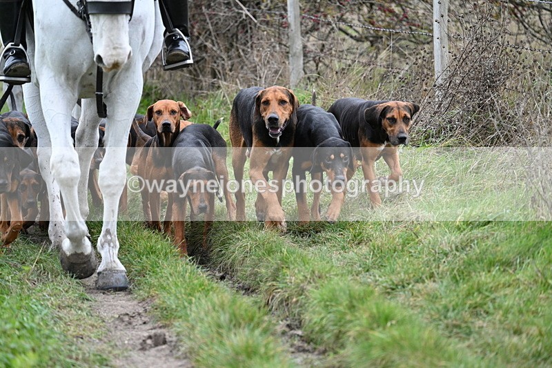 WJ7_0822 - First Seen