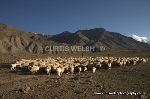 141 - LADAKH - INDIA
