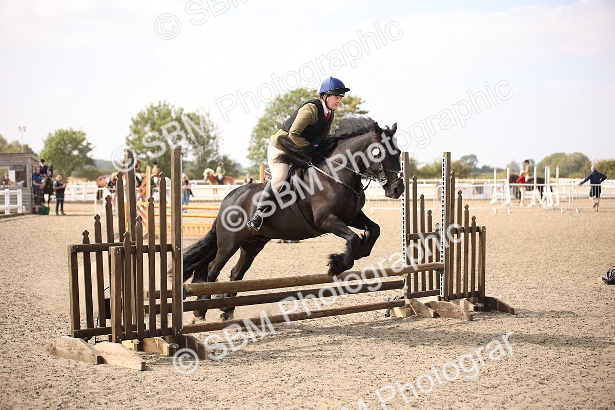 SBM_14993 - Class 408a - Working Veteran 70cm (15-19