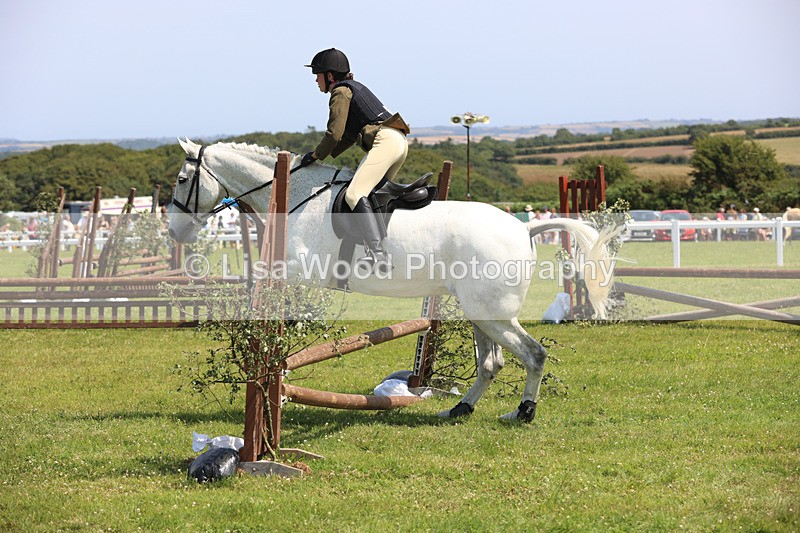 JPP_3167 - Class 22: Working Hunter 70cm