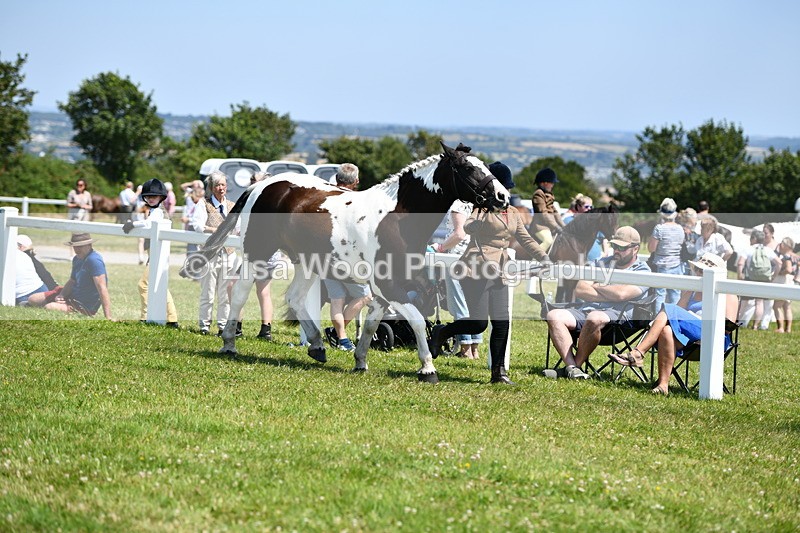 DSC_7613 - Class 64: Coloured Pony 4yrs & over