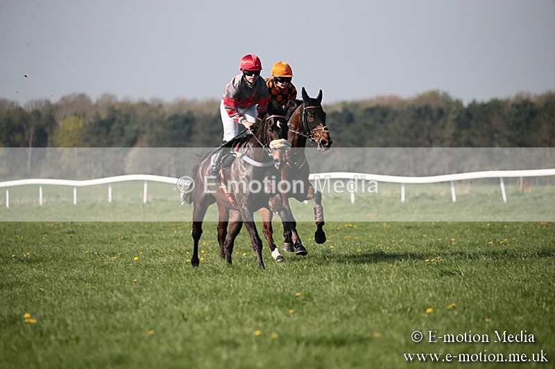 PtP 210418 498 - South & West Wilts Point-to-Point Larkhill 21/04/18