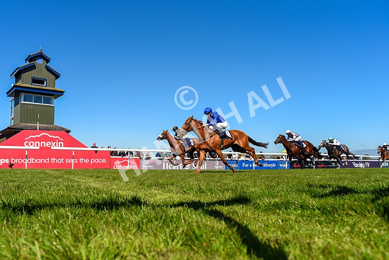 230426-Race 1-Fighters Spirit-1046 - Race 1