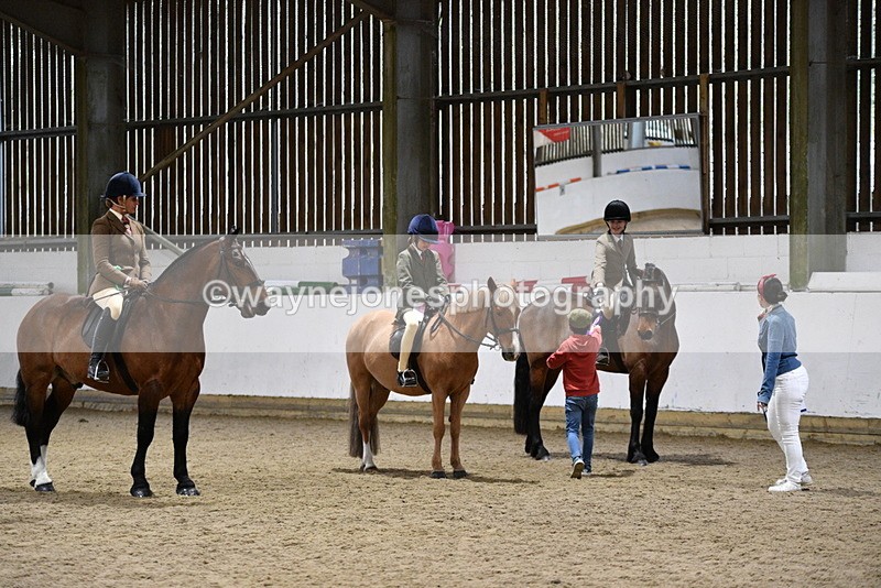 WJ5_8731 - Class 14 Novice Ridden/Rider