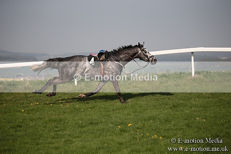 PtP 210418 629 - South & West Wilts Point-to-Point Larkhill 21/04/18