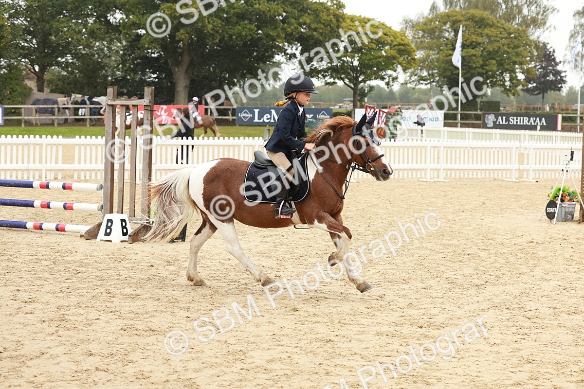 SBM_71067 - J14 - Junior Pony 65cm Championship