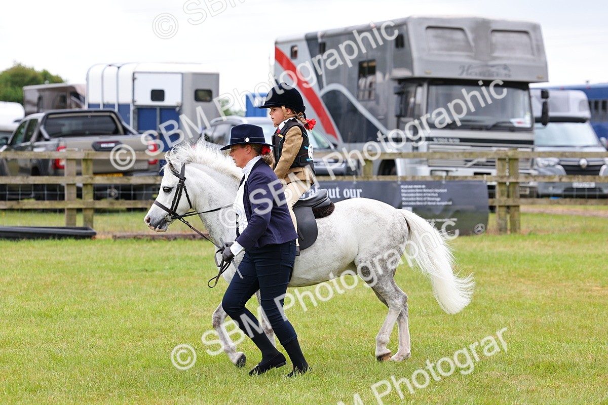 SBM_08124 - Class 42-43 - LIHS BSPS Heritage Working Sports Pony