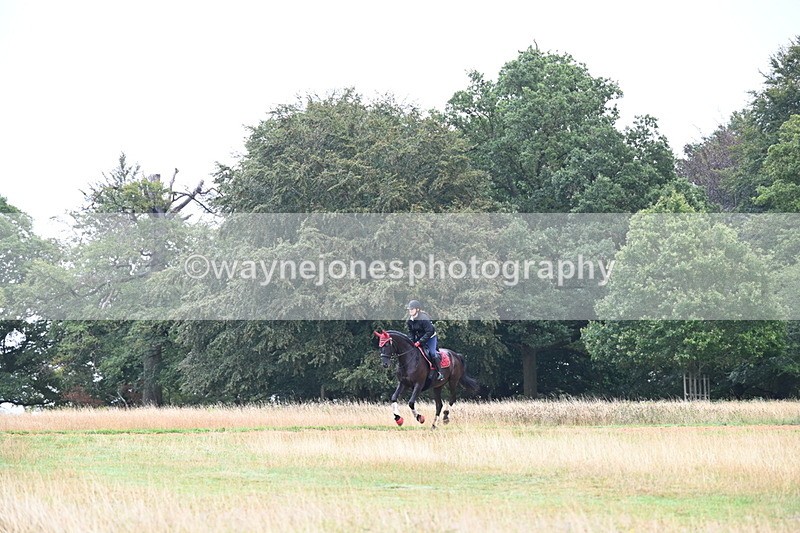 DSC_1684 - Time at Statue 12:13 to 12:32